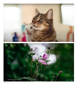 Объектив 7Artisans 50mm F0.95 Z-Mount A008B-Z
