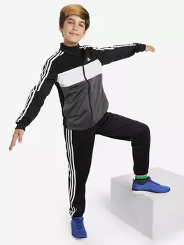 Костюм для мальчиков adidas Essentials Tiberio, Серый, размер 128