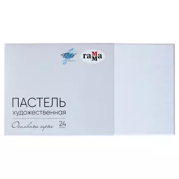 Набор пастели сухая Гамма, 24 серых цвета, картон.упак.