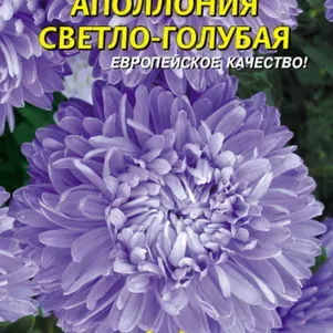 Семена Астра Апполония Светло-голубая 0,2 гр Плазменные семена