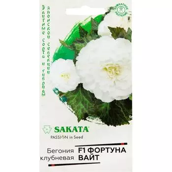 Бегония «Фортуна Вайт» F1, 4 шт.