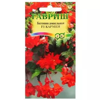 Бегония гранулированая ампельная «Кармен» F1, 5 шт. (пробирка)
