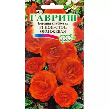 Бегония гранулированная «Нон-стоп» оранжевая, 4 шт.