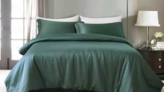 Комплект постельного белья Solid Tencel, цвет Зеленый чай