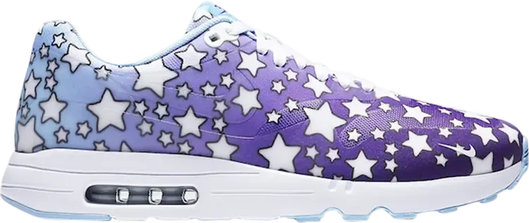 Кроссовки Nike Air Max 1 Ultra 2.0 GPX 'Starry Purple', многоцветный