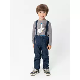 утепленные брюки для мальчиков (синий, 98/ 3-4 YEARS)