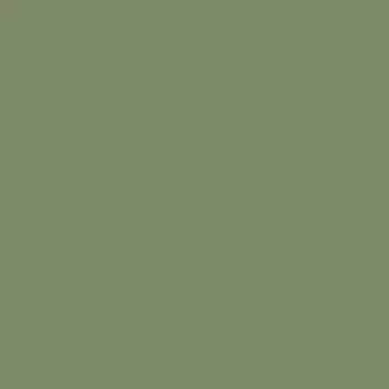 Керамогранит Estima Rainbow Green RW06 Непол. Рект. 60x60