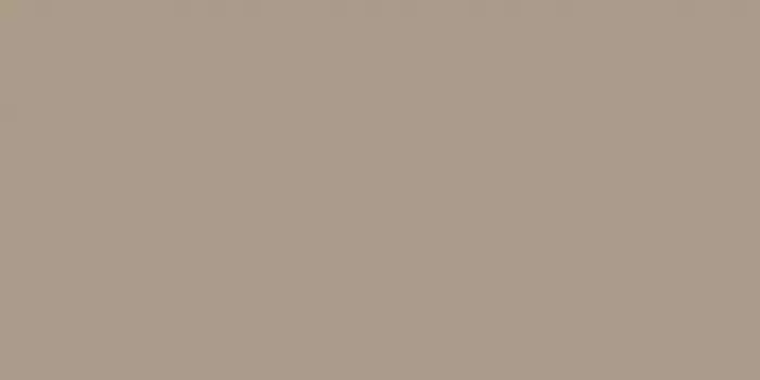Керамогранит Estima Rainbow Light Brown RW041 Непол. Рект. 60x120
