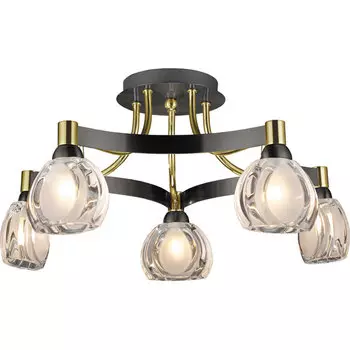 Потолочная люстра N-Light N-Light 09 18 09 1805 0313 05 gold + dark chrome