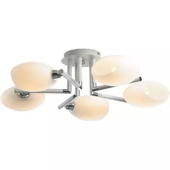 Потолочная люстра N-Light N-Light 433 433-05-73CWC