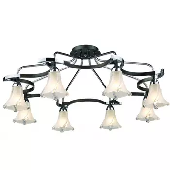 Потолочная люстра N-Light N-Light 470 470-08-13