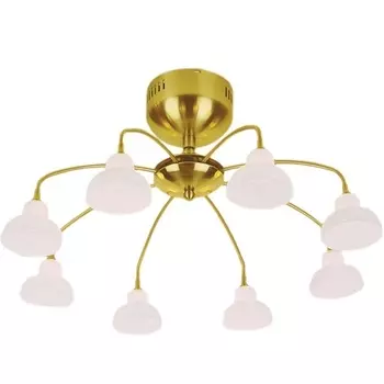 Потолочная люстра N-Light PX-0325/8