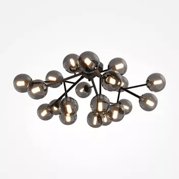 Потолочная люстра Maytoni Dallas MOD545CL-20B