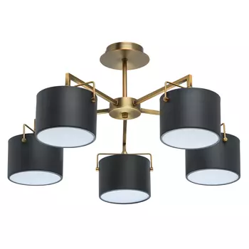 Потолочная люстра MW Light Сайрус 721010205