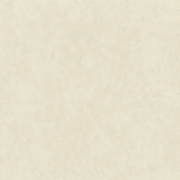 Виниловые обои на флизелиновой основе Rasch Wall Textures XL III 1.06x10.05 арт.957334