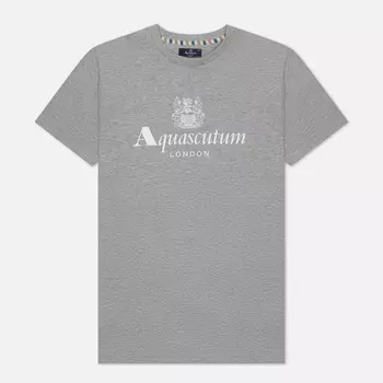 Мужская футболка Aquascutum Beach Basic Big Logo, цвет серый, размер XL