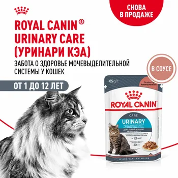 Консервы, паучи Royal Canin паучи