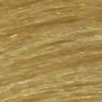 Перманентный краситель без аммиака Glow Zero Ammonia Free Permanent Hair Color (PNCOTCO0385, 10GA, светлый блондин золотисто-пепельный , 100 мл)