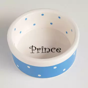 ПИЖОН Миска керамическая "Prince"