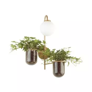 Бра Flower 4682/1W Odeon Light