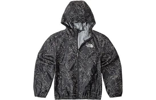 Ветровка THE NORTH FACE, серый