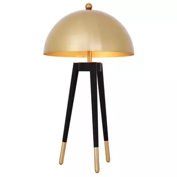 Настольная лампа Eichholtz Table Lamp Coyote