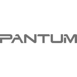 Чип Pantum для Pantum BP5100DN/BP5100DW (DL-5120), черный, 30000 страниц