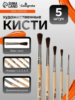 Набор кистей пони 5 штук, calligrata №3 (круглые №: 1, 2, 3, 4, 5), деревянная ручка, в пенале