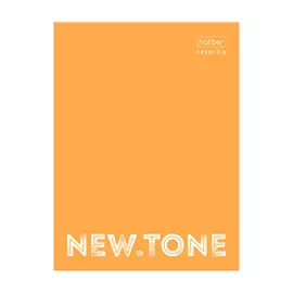 Папка для документов Hatber NEWtone NEON А4 на кольцах