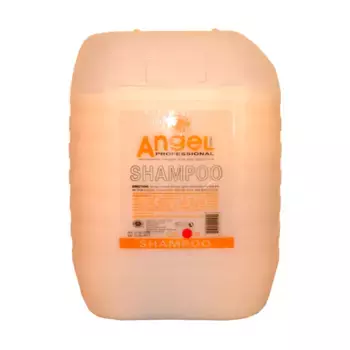 ANGEL PROFESSIONAL Шампунь для сухих и нейтральных волос / Angel Professional 10000 мл