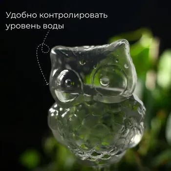 Автополив для комнатных растений