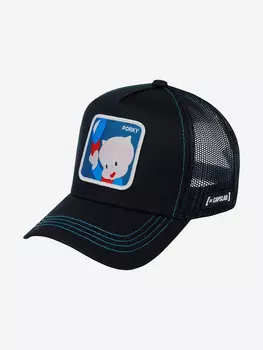 Бейсболка с сеточкой CAPSLAB CL/LOO3/1/POR2 Looney Tunes Porky Pig (черный), Черный