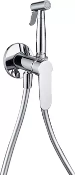 Гигиенический душ Aquanet Passion AF300-52C со смесителем, встраиваемый