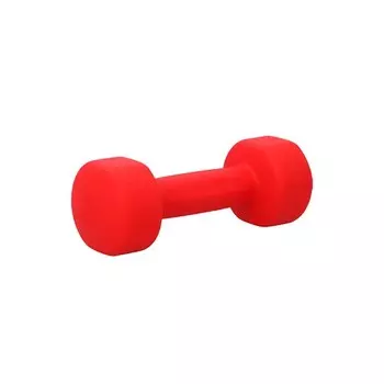 Гантель для аэробики неопреновая 3 кг PRCTZ NEOPRENE DUMBBELL PS7115