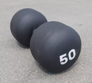 Гантель для силового экстрима Stecter 50 кг 2324
