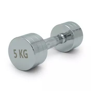 Гантель круглая хромированная 5 кг UnixFit PRO DBRND5PCEx2 2 шт