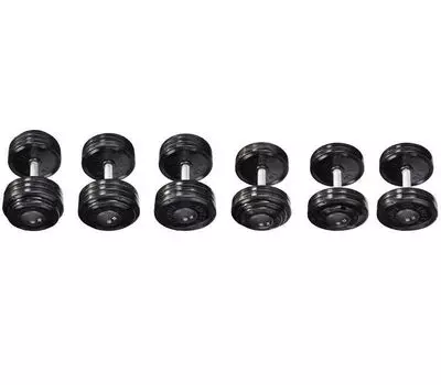 Гантель профессиональная 44 кг V-Sport SТ550.44