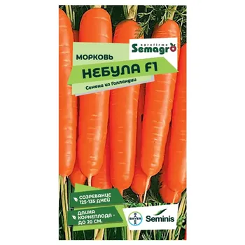 Семена овощей Seminis морковь Небула F1