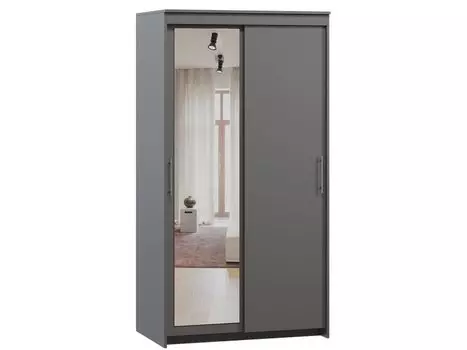 Шкаф-купе Тебар-2-100-190 Графит 1 зеркало