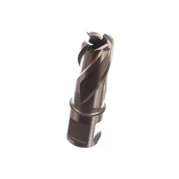 Фреза Milwaukee D17*30мм weldon 19 4932343273