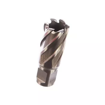 Фреза Milwaukee D22*30мм weldon 19 4932343278