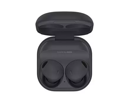 Наушники Samsung Galaxy Buds2 Pro Graphite (SM-R510NZAACIS)
