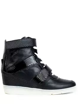 Сникерсы кожаные DIRK BIKKEMBERGS