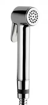 Гигиеническая лейка Bossini Paloma Brass B00470.030