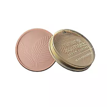 PARISA COSMETICS Face пудра для лица