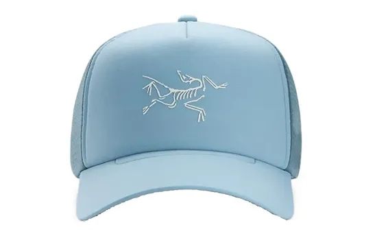 Кепка Arcteryx с сеточкой, синий