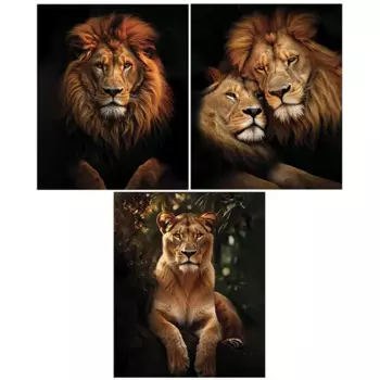 Картина на холсте Fbrush Львы 40x50 см