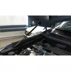Амортизатор (упор) капота NISSAN Pathfinder 2014- 2 шт