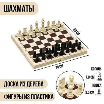Шахматы