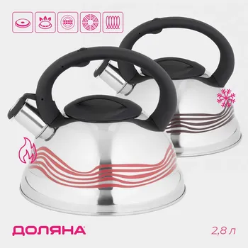 Чайник доляна